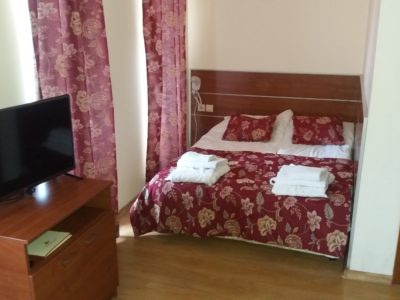 Apartman Bansko Izdavanje TV i francuski ležaj